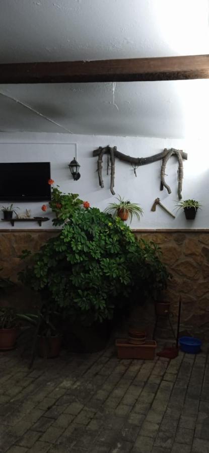 Гостевой дом Casa Cueva El Almendro Пегалахар Экстерьер фото